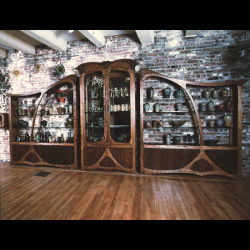 Salamander Art Glass Case