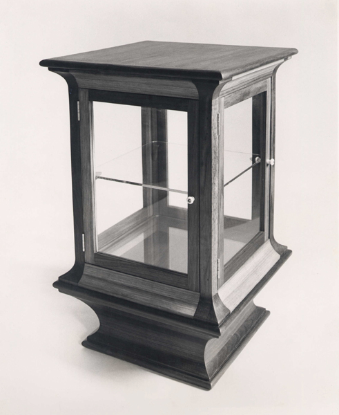 Jewelry Display Case